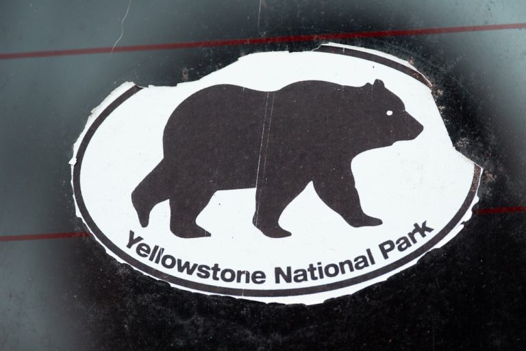 Embracing the Wild: A Journey into Outdoor Travel Adventure